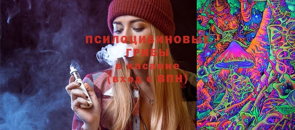 гидропоника Нязепетровск