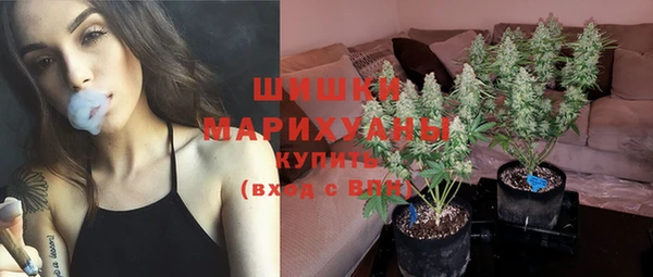 apvp Новозыбков