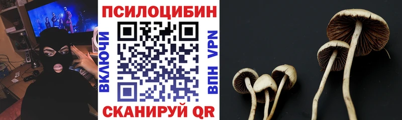 Галлюциногенные грибы мицелий  нарко площадка формула  Карталы 
