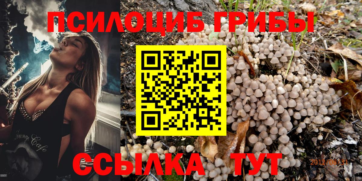 Карталы  Галлюциногенные грибы ЛСД  Галлюциногенные грибы Psilocybine cubensis  цены   Вход с VPN 