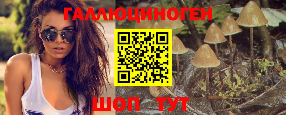 Галлюциногенные грибы мухоморы  Карталы 