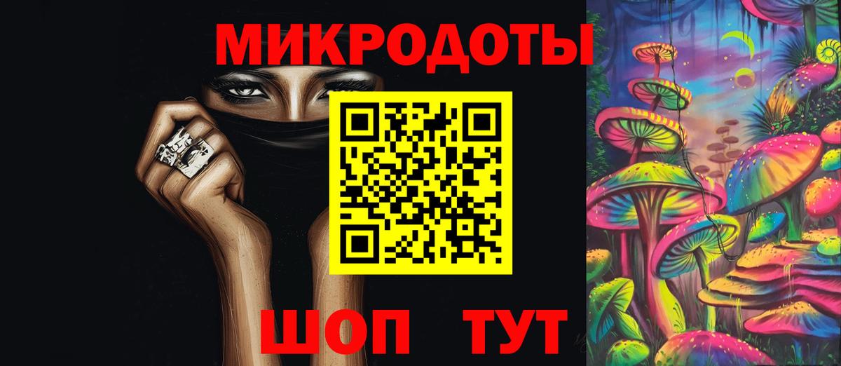 Галлюциногенные грибы Psilocybine cubensis Карталы